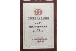 2024年广西民营企业制造业100强