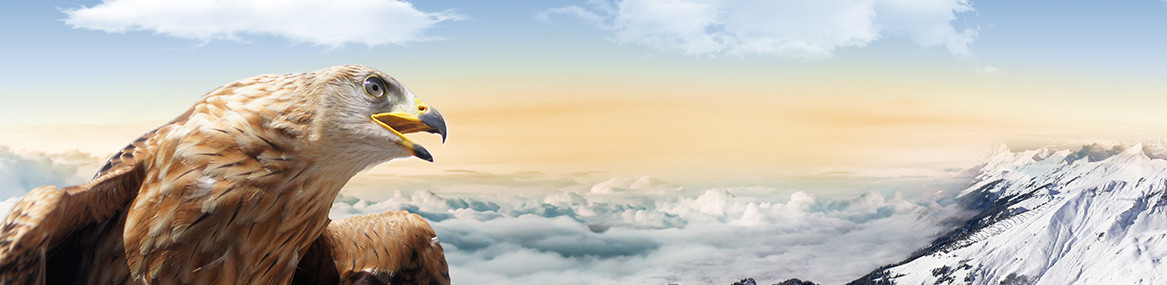 梧州市永达钢铁有限公司--官方网站